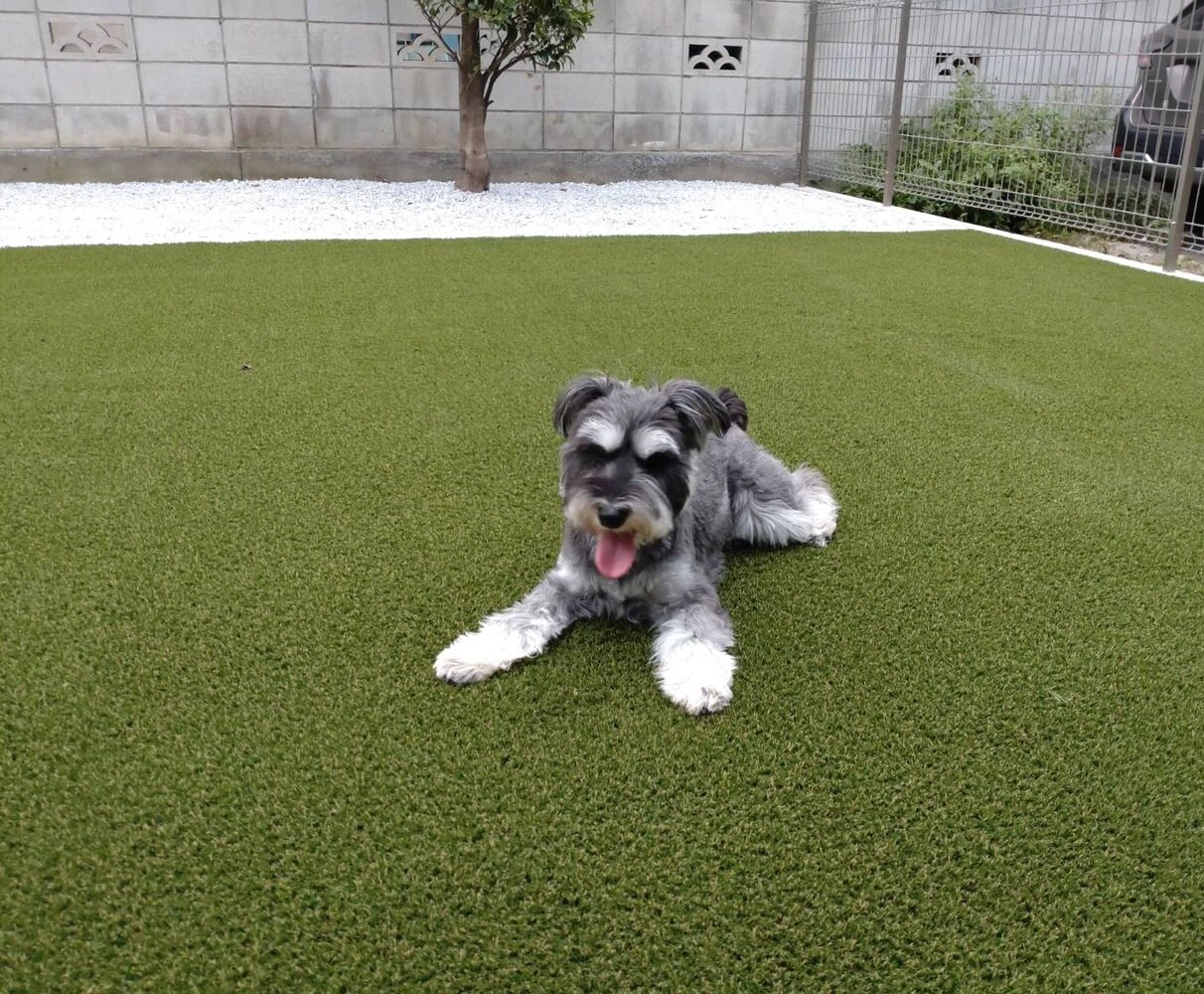 画像10827