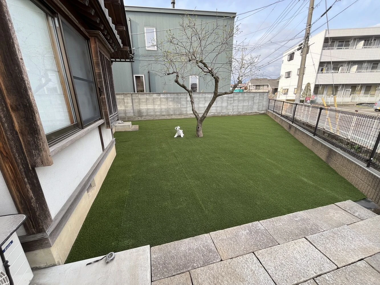 画像5200